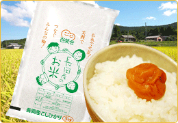 長岡産特別栽培米コシヒカリ